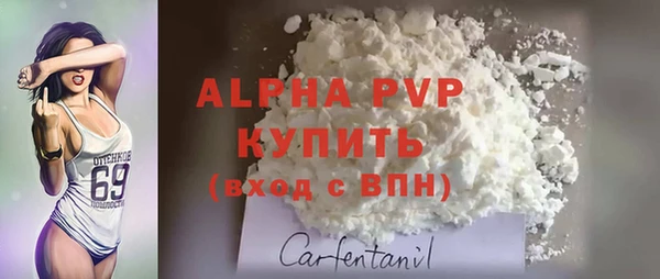 кокс Корсаков
