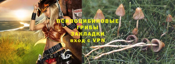 2c-b Коряжма