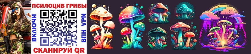 Псилоцибиновые грибы Cubensis  хочу наркоту  Брюховецкая 